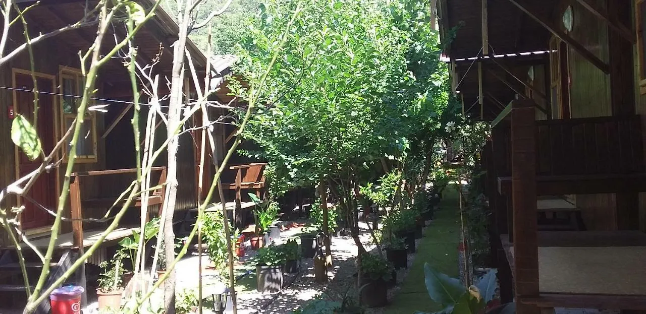 Zakkum Pansiyon Antalya Homestay szállás