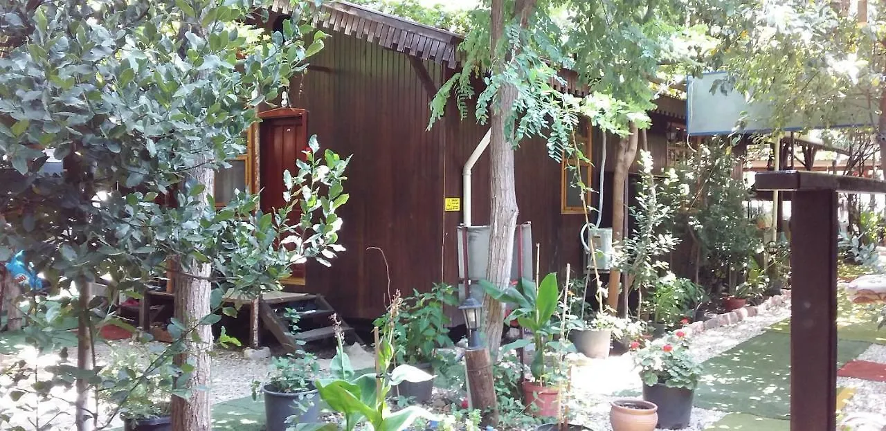 Homestay szállás Zakkum Pansiyon Antalya