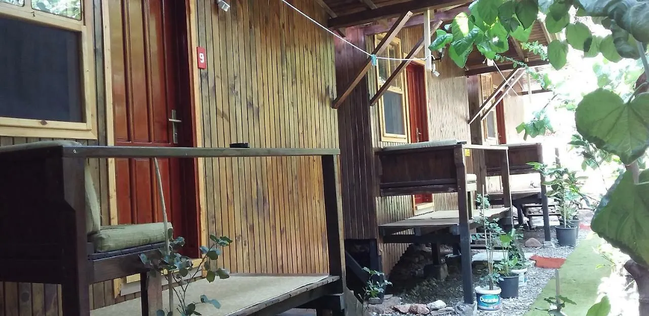 Homestay szállás Zakkum Pansiyon Antalya Törökország