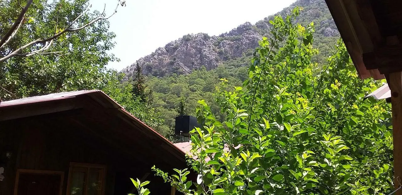 Homestay szállás Zakkum Pansiyon Antalya