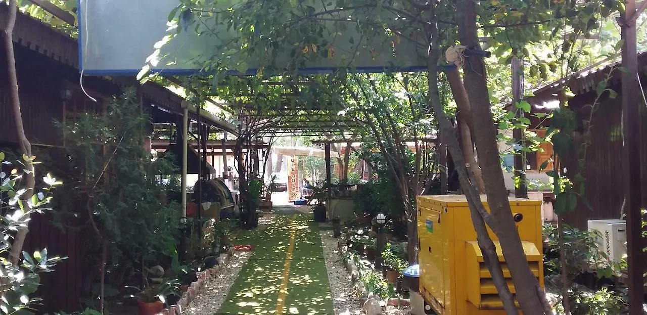 Homestay szállás Zakkum Pansiyon Antalya Törökország
