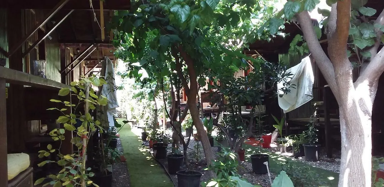 Zakkum Pansiyon Antalya Homestay szállás